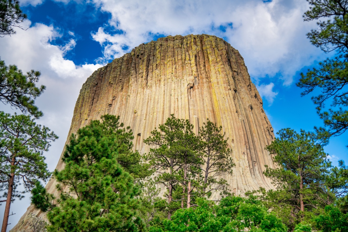 Deadwood · Devil’s Tower · Big Horn National Forest · Cody