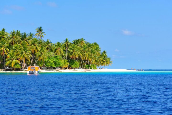 Incantevole Sud e Isole Laccadive