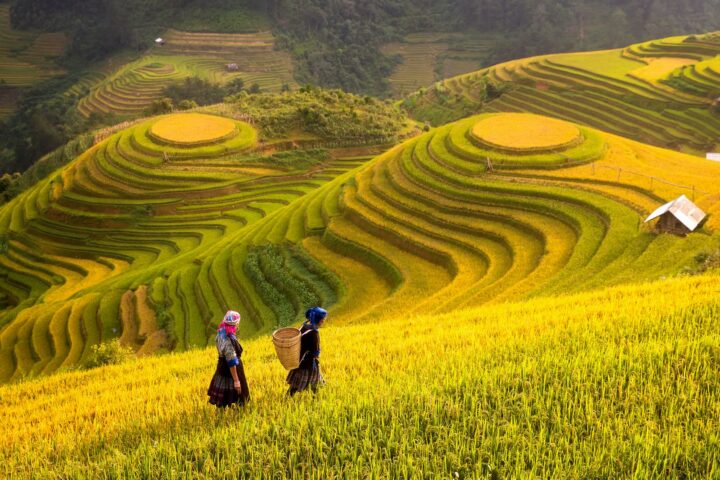 Vietnam