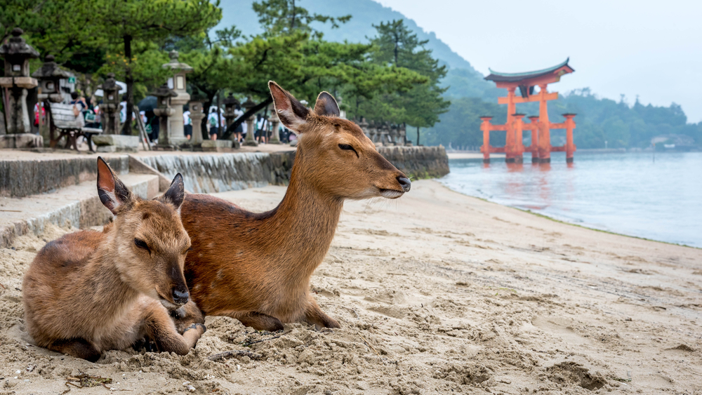 Hiroshima e Miyajima