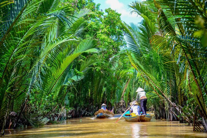 Delta del Mekong